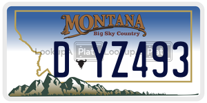 DYZ493  license plate in MT
