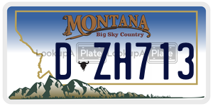DZH713  license plate in MT