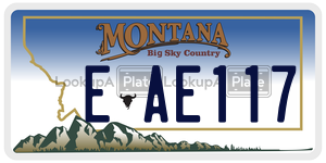 EAE117 license plate in Montana