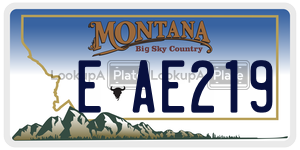 EAE219  license plate in MT
