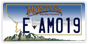 EAM019  license plate in MT