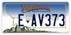 EAV373 license plate in Montana