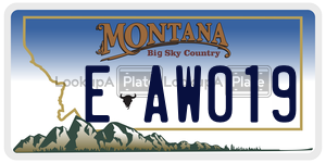 EAW019  license plate in MT