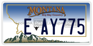 EAY775  license plate in MT