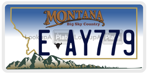 EAY779  license plate in MT