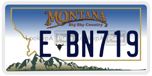 EBN719  license plate in MT