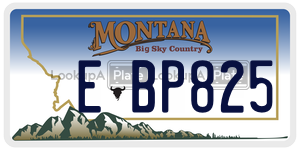 EBP825  license plate in MT