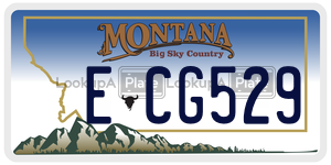 ECG529  license plate in MT