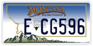 ECG596  license plate in MT