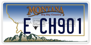 ECH901  license plate in MT