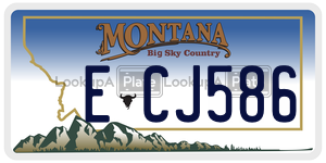 ECJ586  license plate in MT