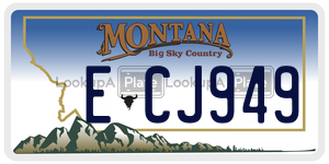 ECJ949  license plate in MT
