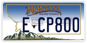 ECP800  license plate in MT