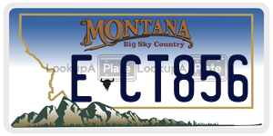 ECT856  license plate in MT
