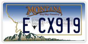 ECX919  license plate in MT