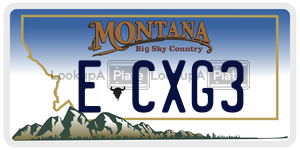 ECXG3 license plate in Montana