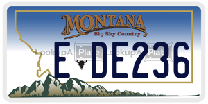 EDE236  license plate in MT
