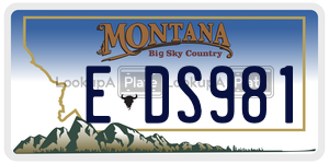 EDS981  license plate in MT