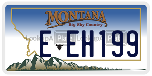 EEH199  license plate in MT