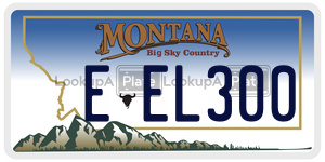 EEL300  license plate in MT