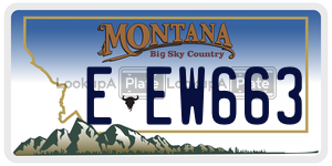 EEW663  license plate in MT