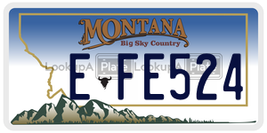 EFE524  license plate in MT