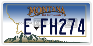 EFH274  license plate in MT