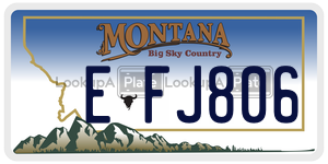 EFJ806  license plate in MT