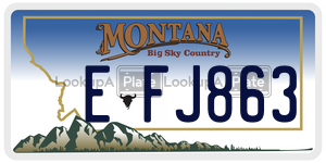EFJ863  license plate in MT