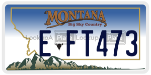 EFT473  license plate in MT