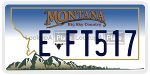 EFT517  license plate in MT
