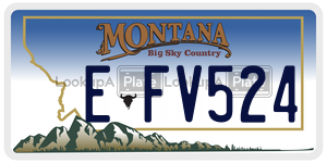 EFV524  license plate in MT