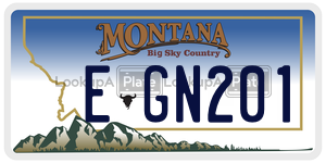 EGN201  license plate in MT