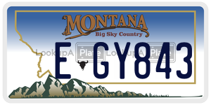 EGY843  license plate in MT