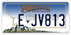 EJV813  license plate in MT