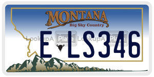 ELS346  license plate in MT