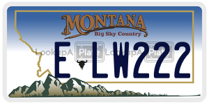 ELW222  license plate in MT