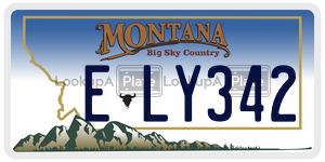 ELY342  license plate in MT