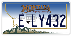 ELY432  license plate in MT