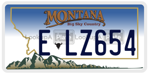 ELZ654  license plate in MT