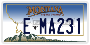 EMA231  license plate in MT