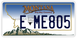 EME805 license plate in Montana