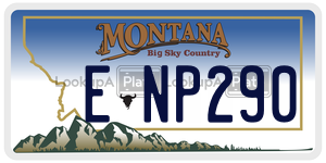 ENP290  license plate in MT