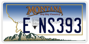 ENS393  license plate in MT
