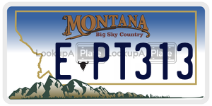 EPT313  license plate in MT