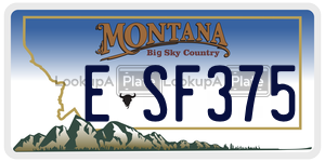 ESF375  license plate in MT