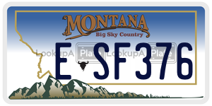 ESF376  license plate in MT