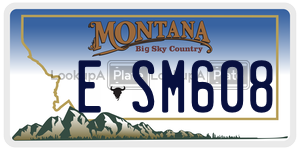 ESM608  license plate in MT