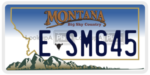 ESM645  license plate in MT