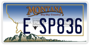 ESP836  license plate in MT